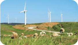 Wind Power Plant Balikesir