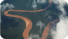Tambopata Project