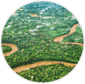 Tambopata Biodiversity Reserve and Agroforestry